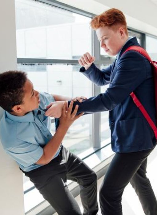 bully